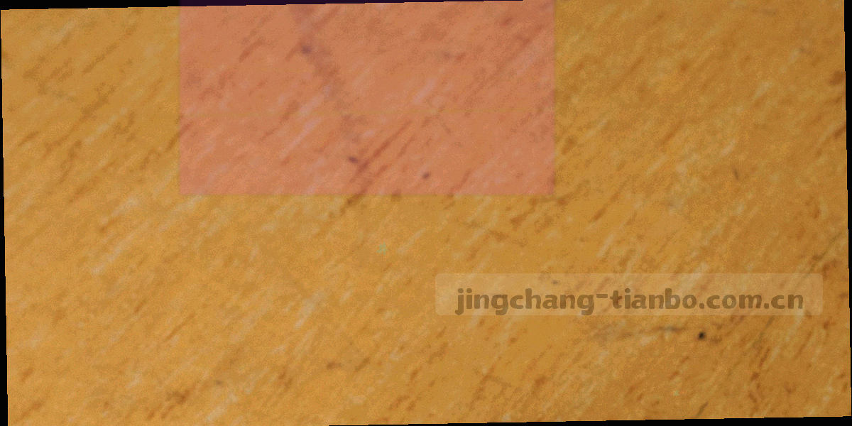 抽象数据流与透明网格交融的品牌视觉